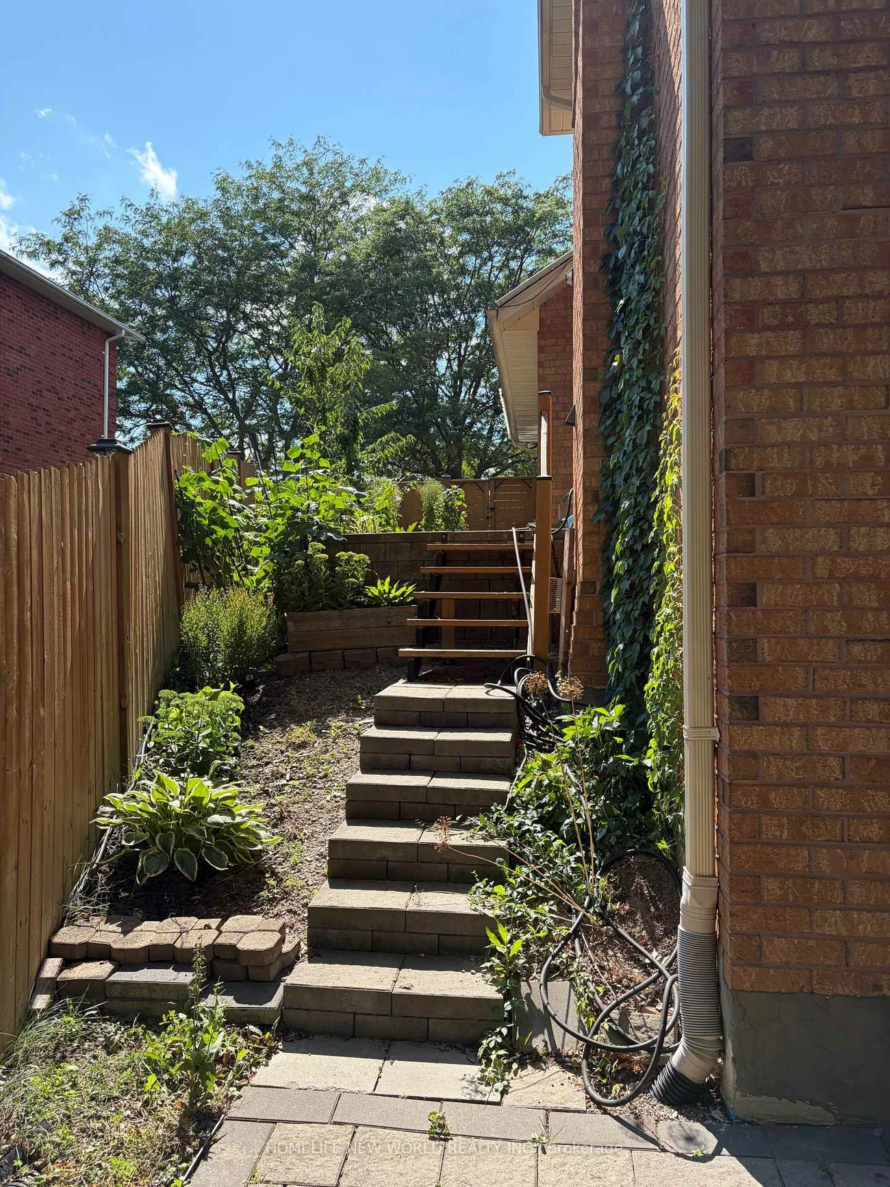 23, Lacey, Aurora Heights, Aurora