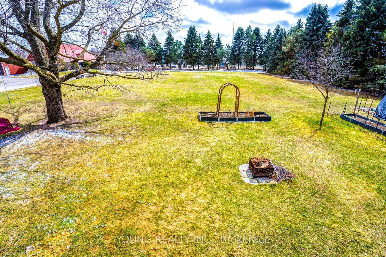 125, Cousins, Aurora Grove, Aurora