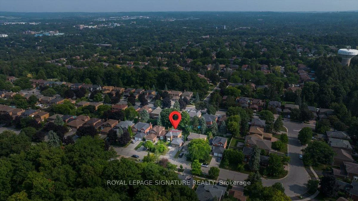 57, Tribbling, Hills of St Andrew, Aurora