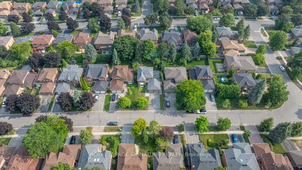 57, Tribbling, Hills of St Andrew, Aurora