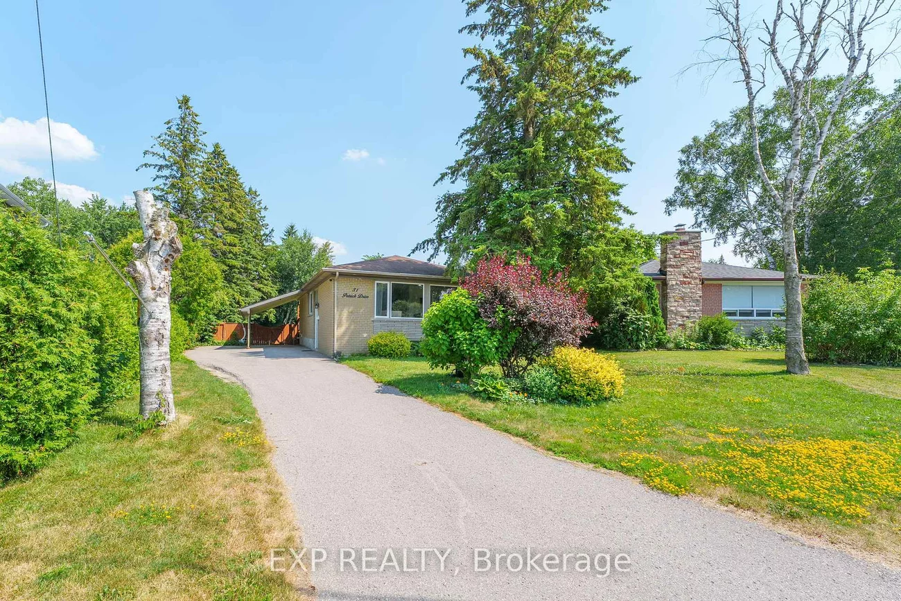 31, Patrick, Aurora Highlands, Aurora
