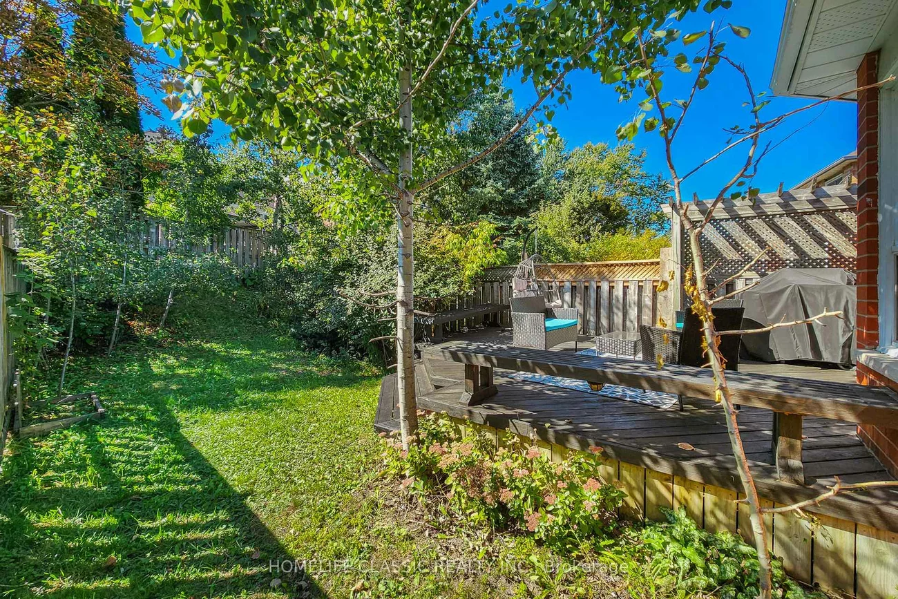 46, October, Aurora Grove, Aurora