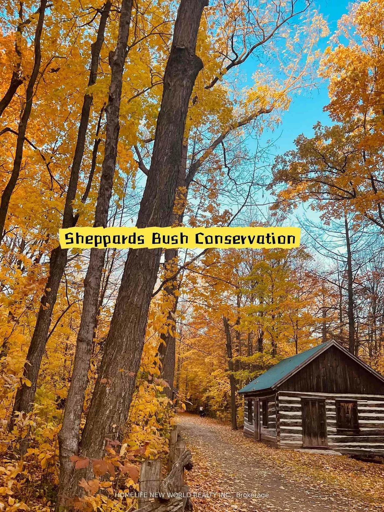 36, Strawbridge Farm, Aurora Grove, Aurora