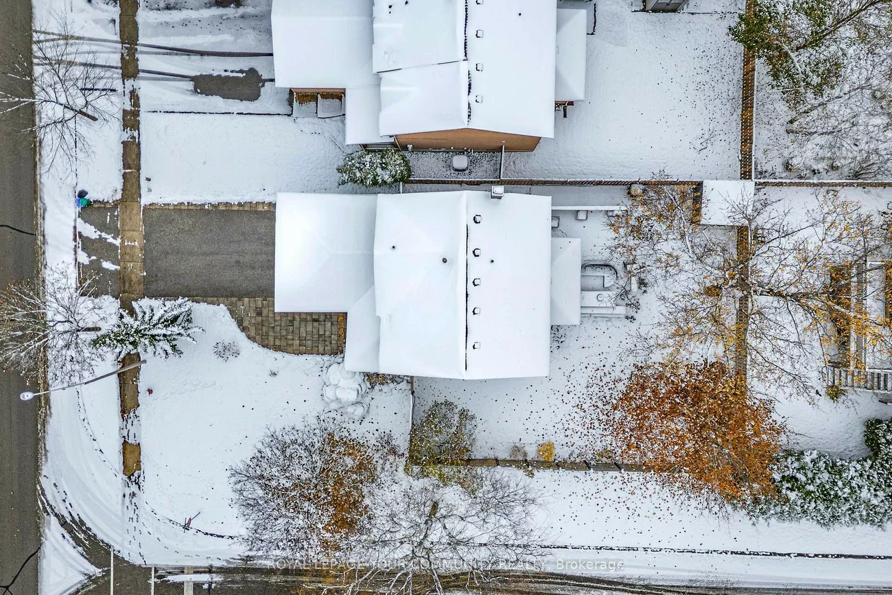 1, Mendy's Forest, Hills of St Andrew, Aurora