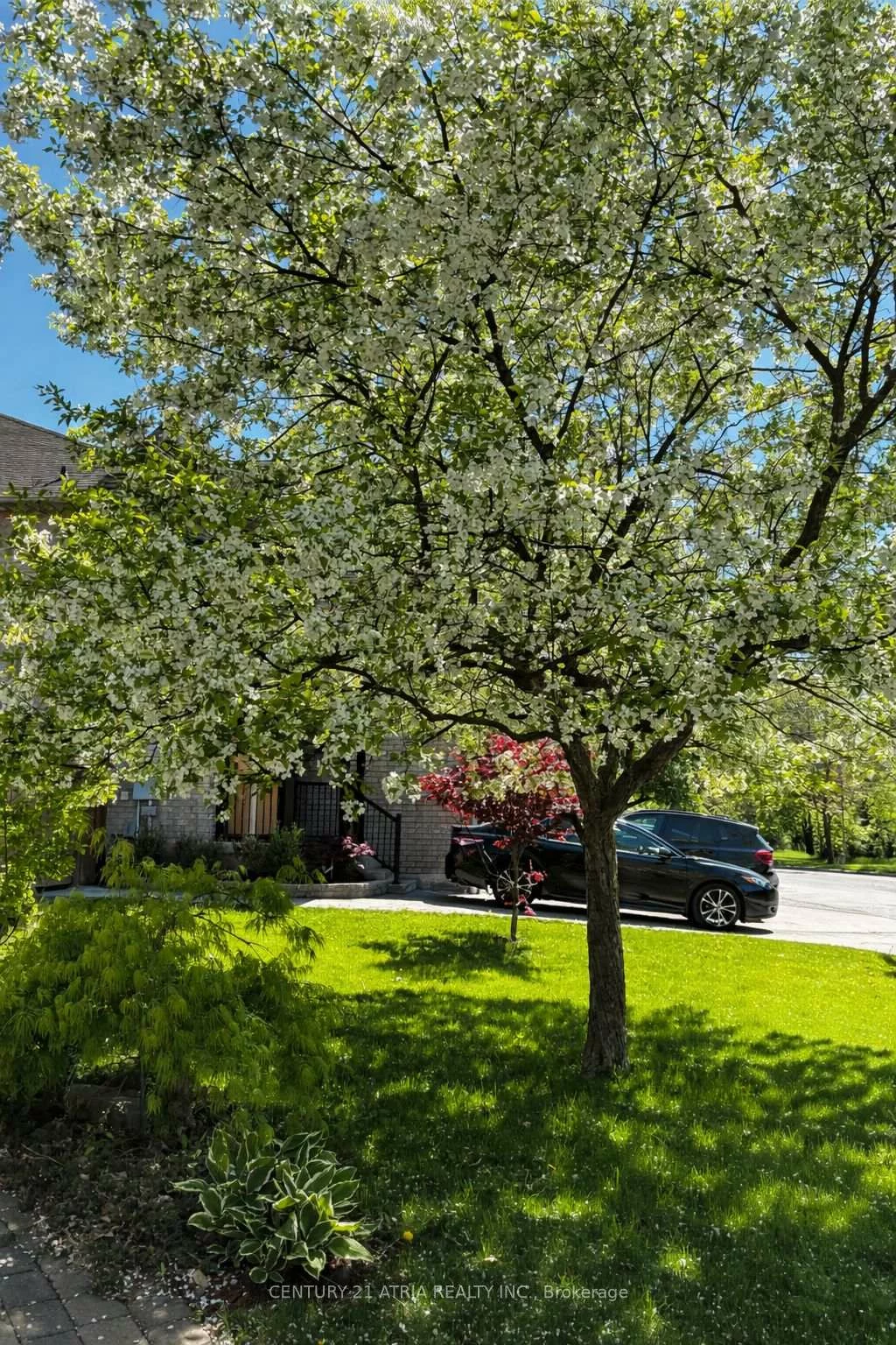 102, Woodroof, Bayview Wellington, Aurora