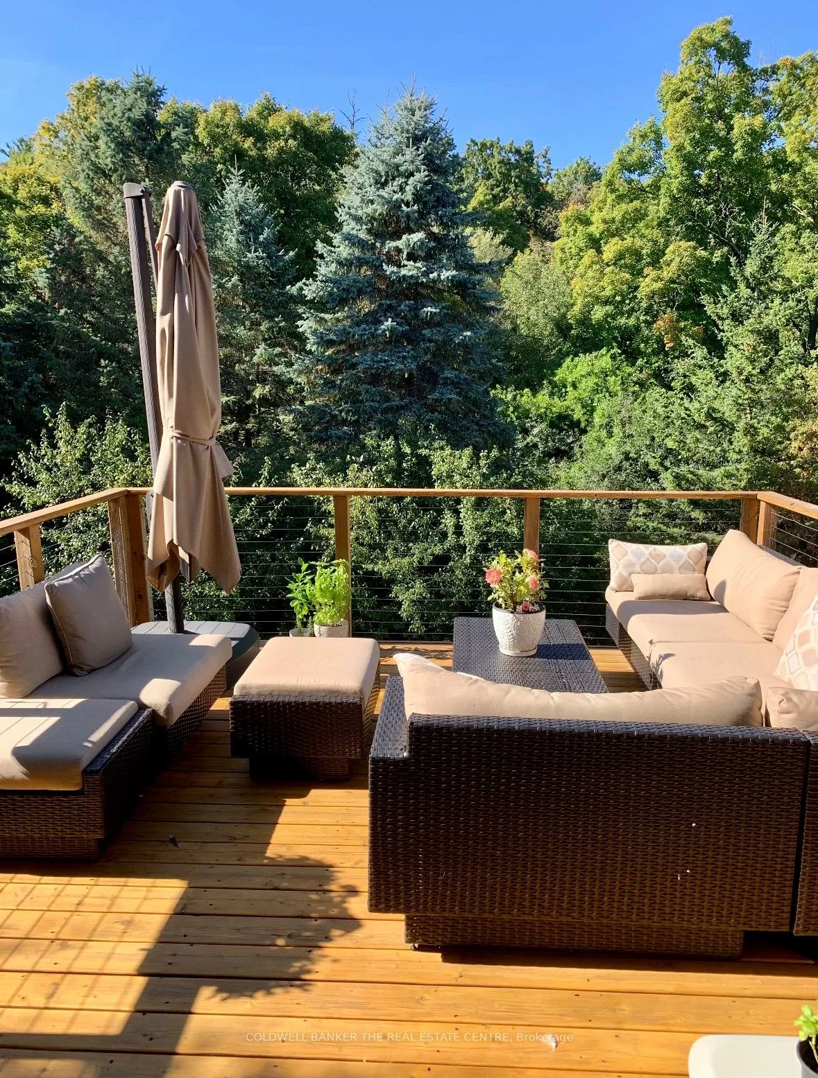 102, Deerglen, Aurora Grove, Aurora