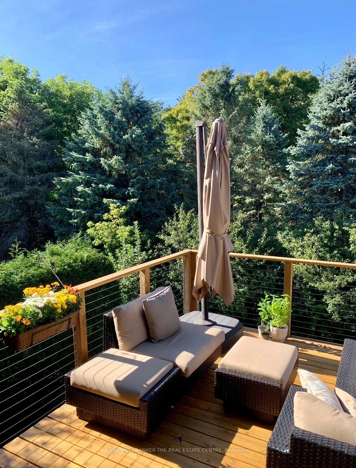 102, Deerglen, Aurora Grove, Aurora