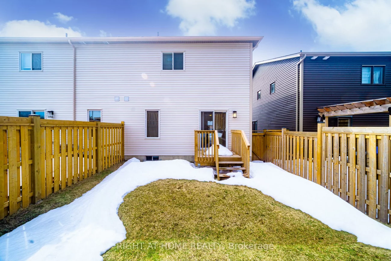 31, Brown Bear, Rural Barrie Southwest, Barrie