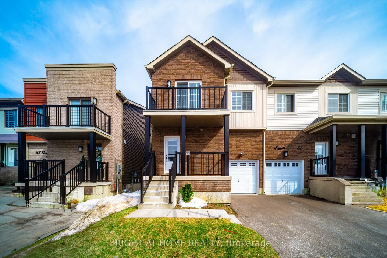 31, Brown Bear, Rural Barrie Southwest, Barrie