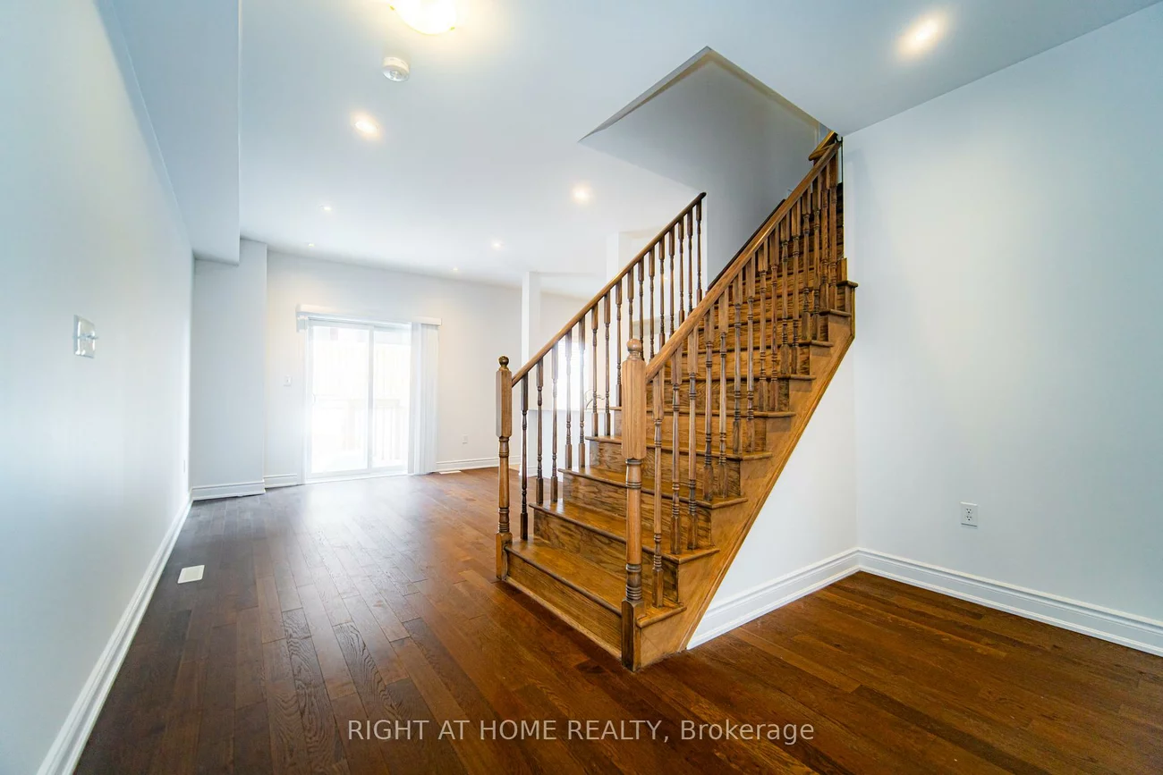 31, Brown Bear, Rural Barrie Southwest, Barrie
