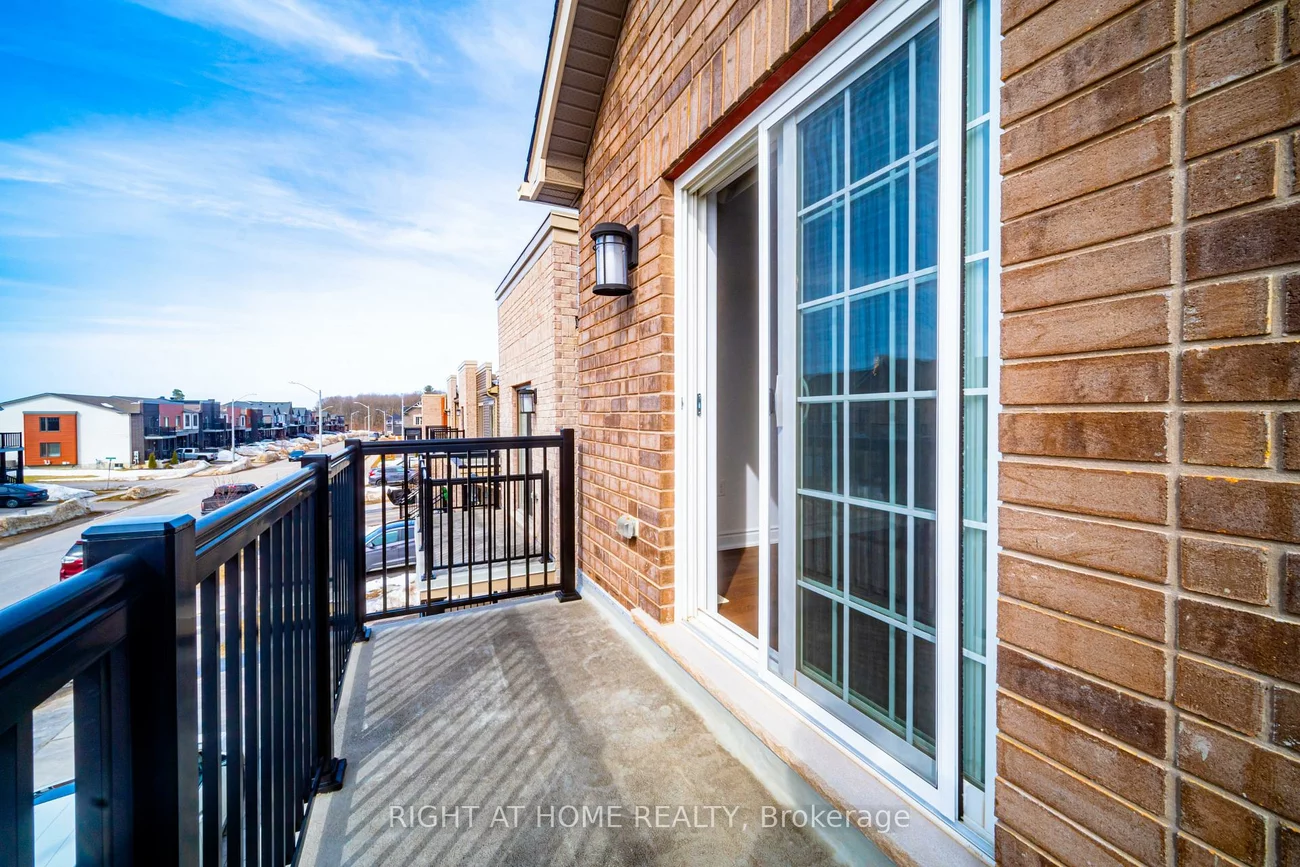 31, Brown Bear, Rural Barrie Southwest, Barrie