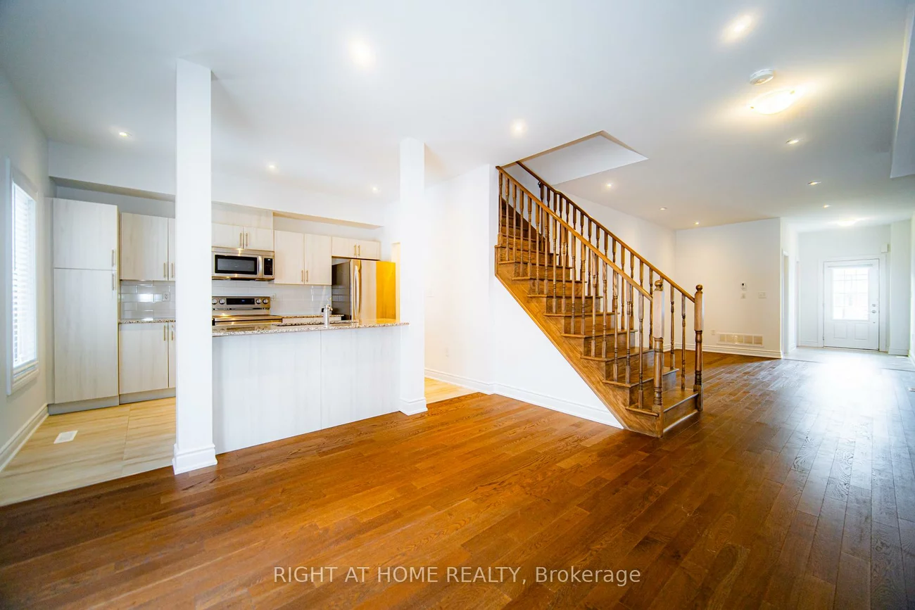31, Brown Bear, Rural Barrie Southwest, Barrie