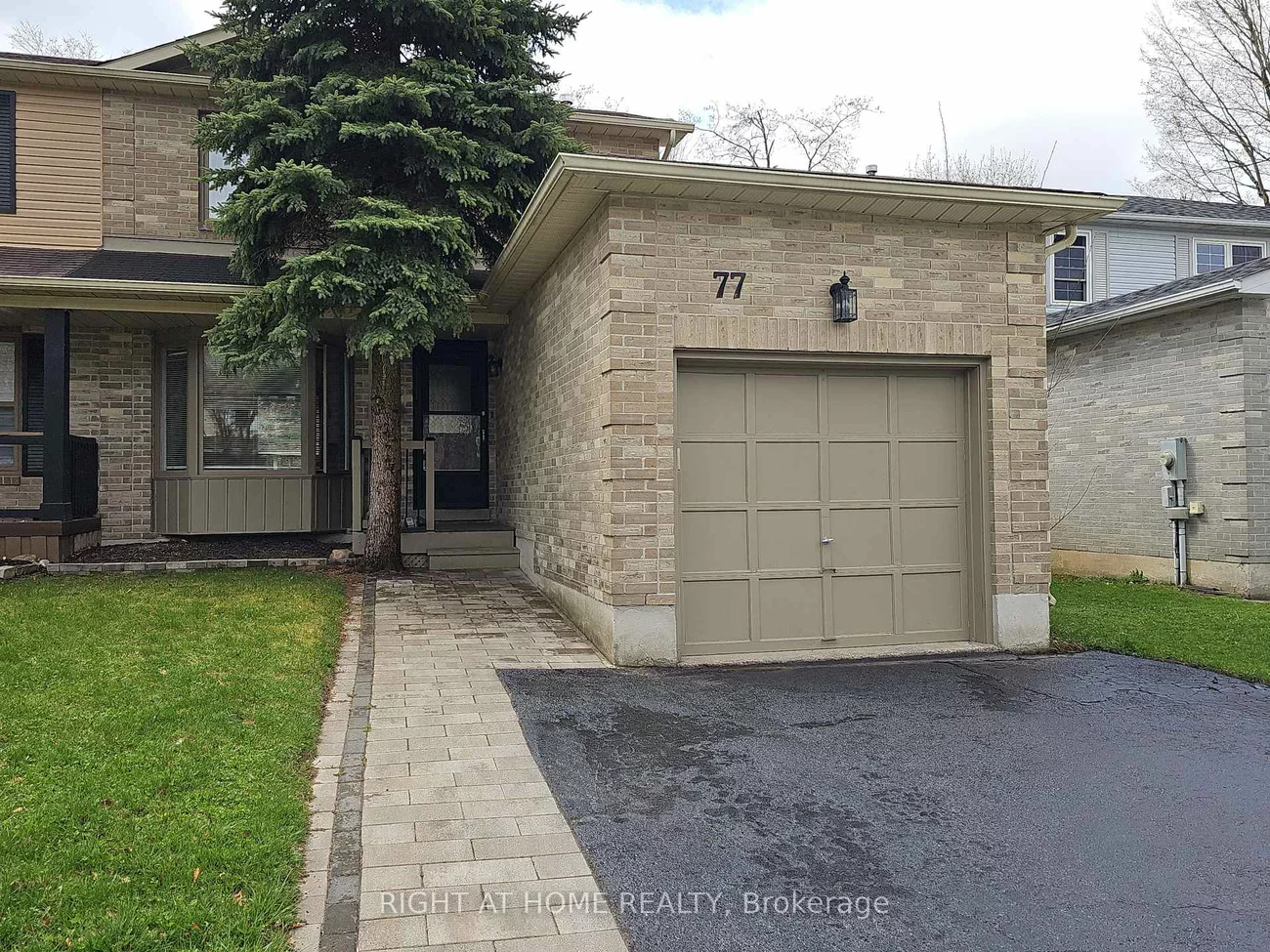 77, D'AMBROSIO, Painswick North, Barrie
