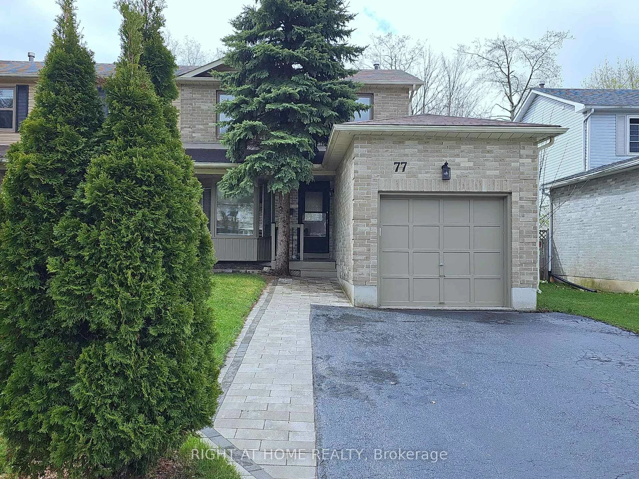 77, D'AMBROSIO, Painswick North, Barrie