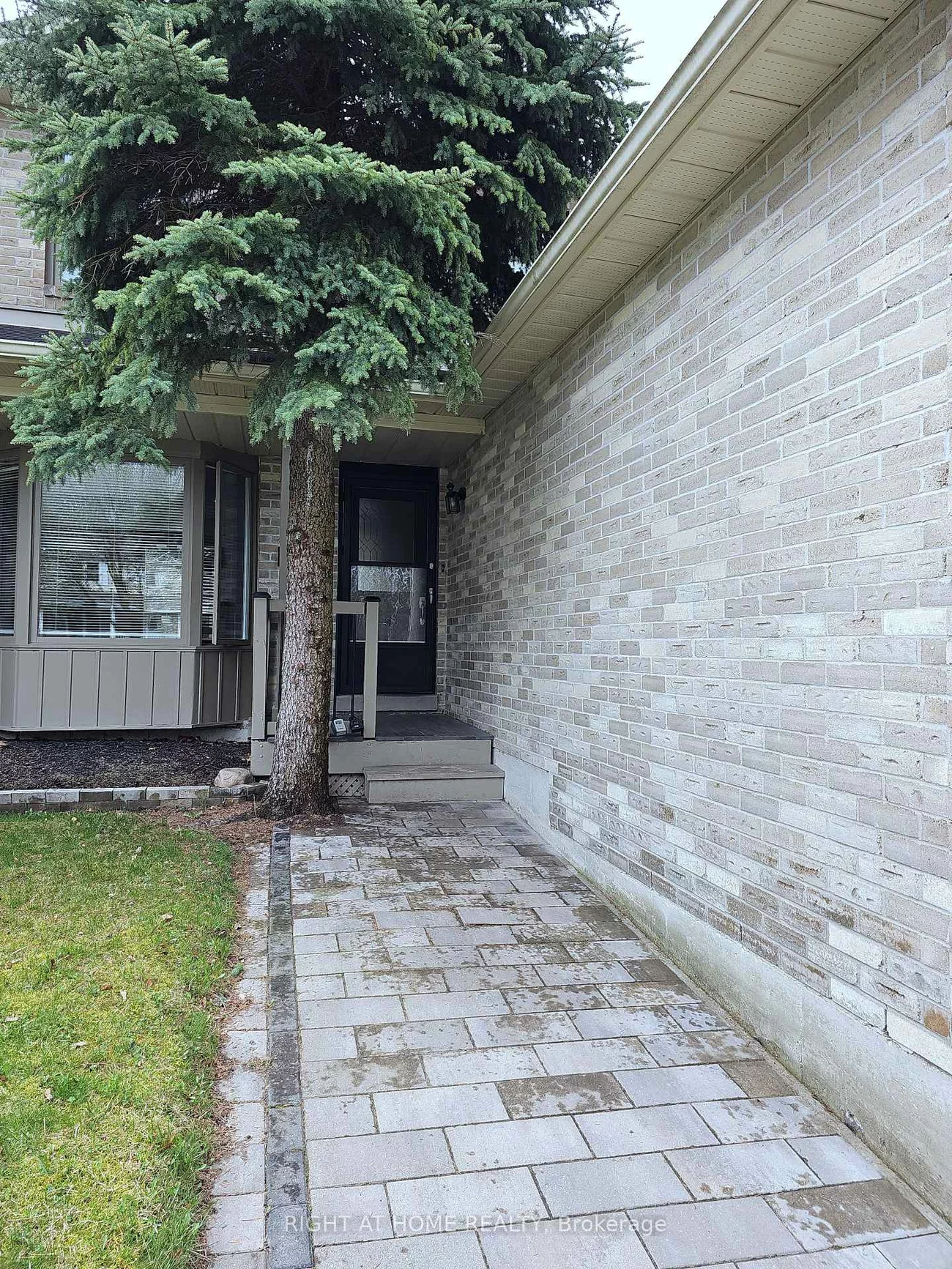 77, D'AMBROSIO, Painswick North, Barrie