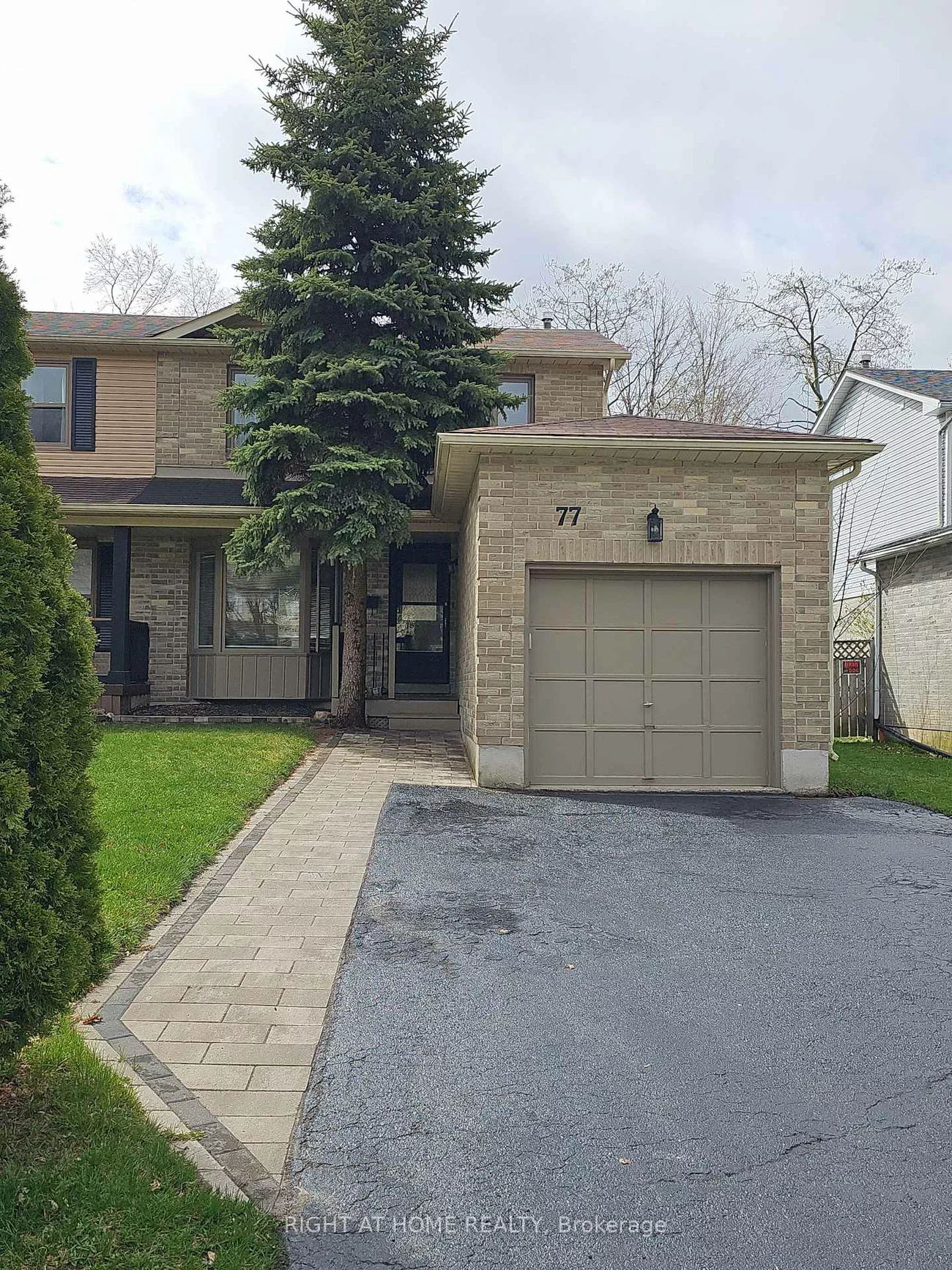 77, D'AMBROSIO, Painswick North, Barrie