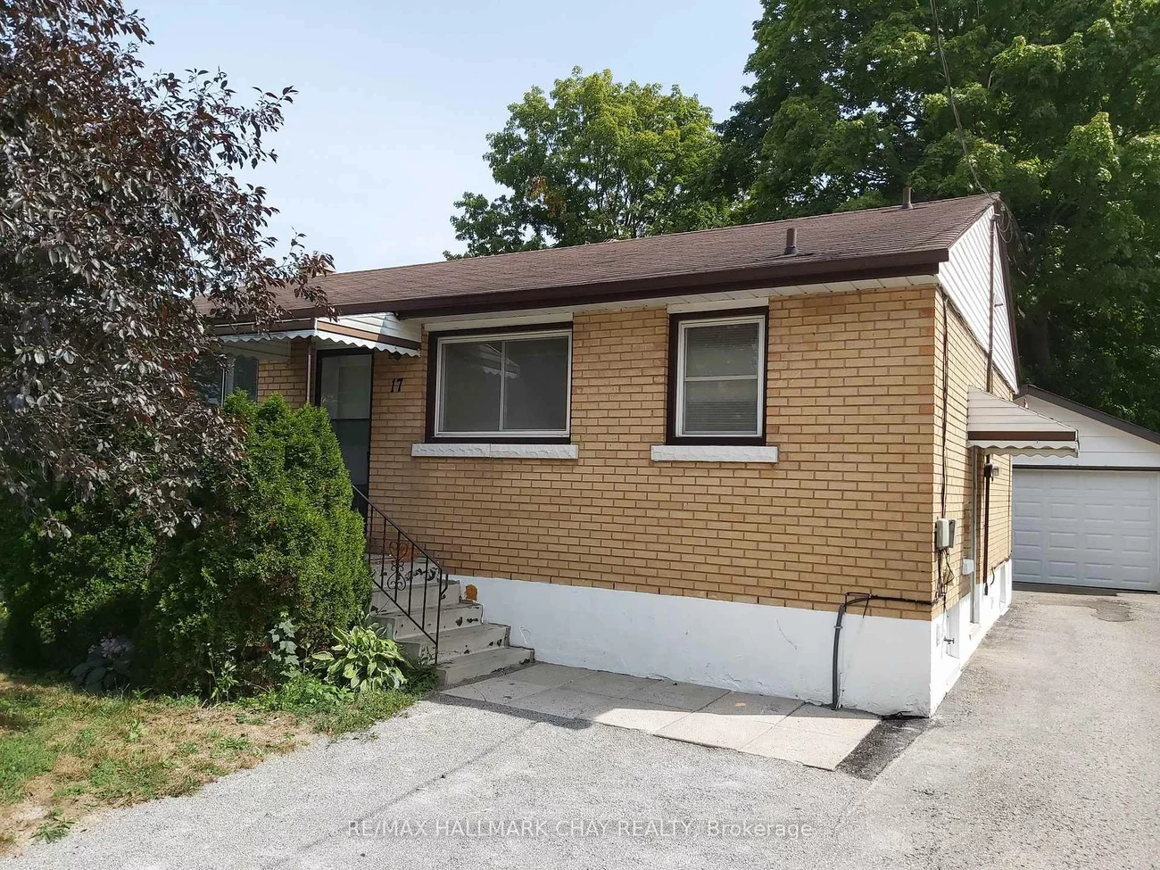 17, Gunn, Wellington, Barrie