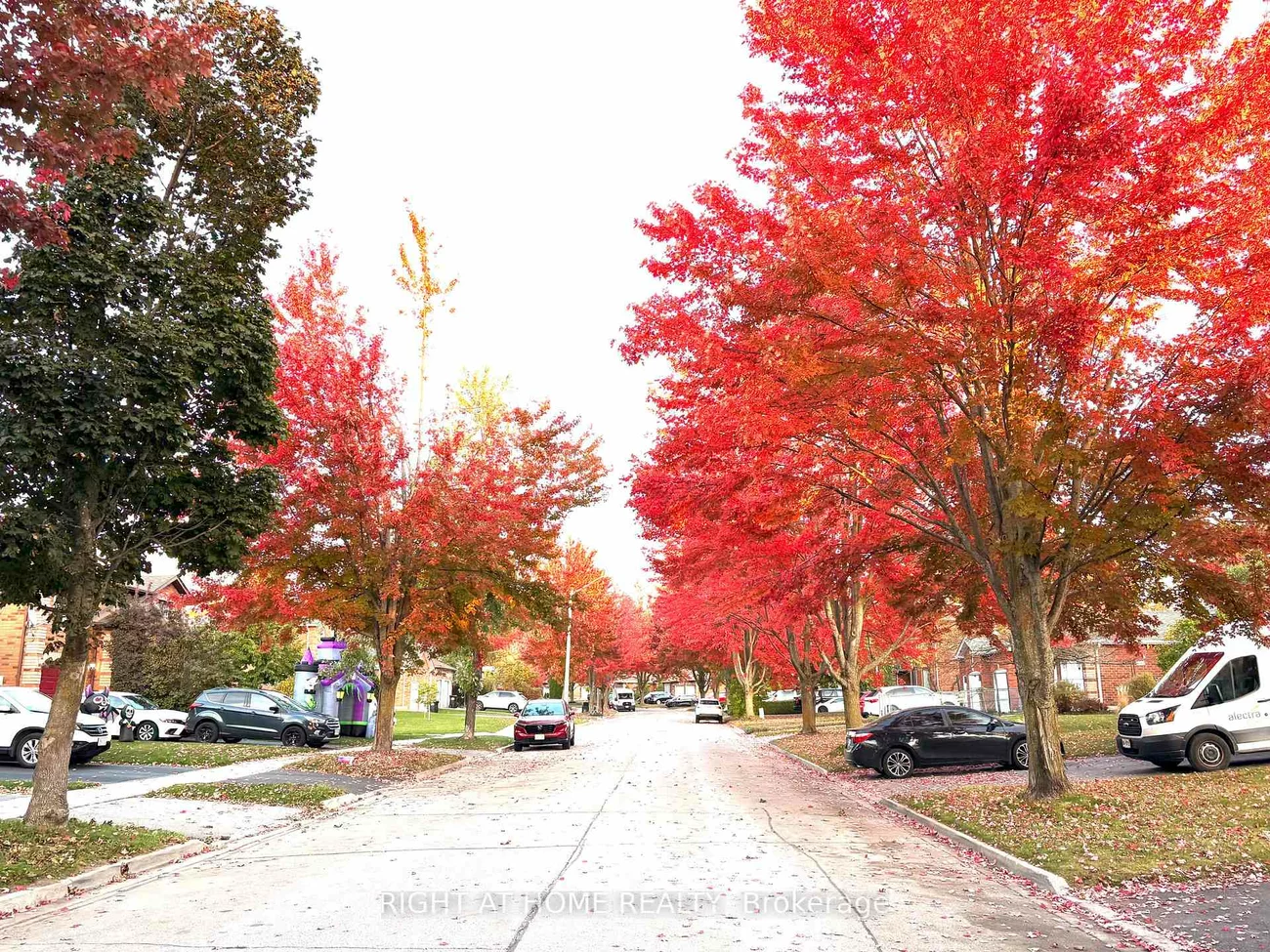 181, Columbia, Holly, Barrie