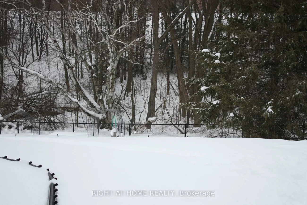 46, Lougheed, Holly, Barrie