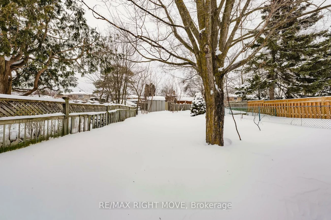 198, Rose, Wellington, Barrie