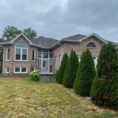 104, Marsellus, Holly, Barrie