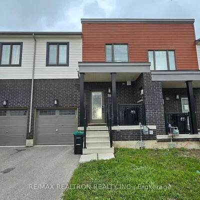 28, Brown Bear, Rural Barrie Southwest, Barrie