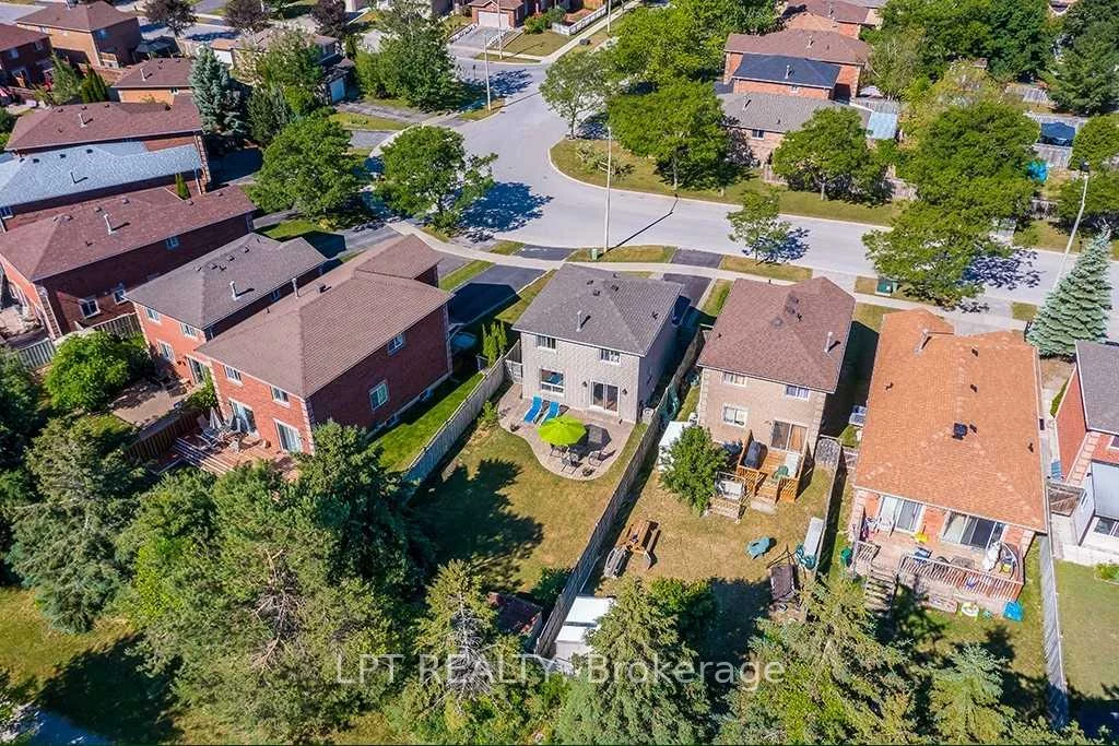 35, Clute, Holly, Barrie