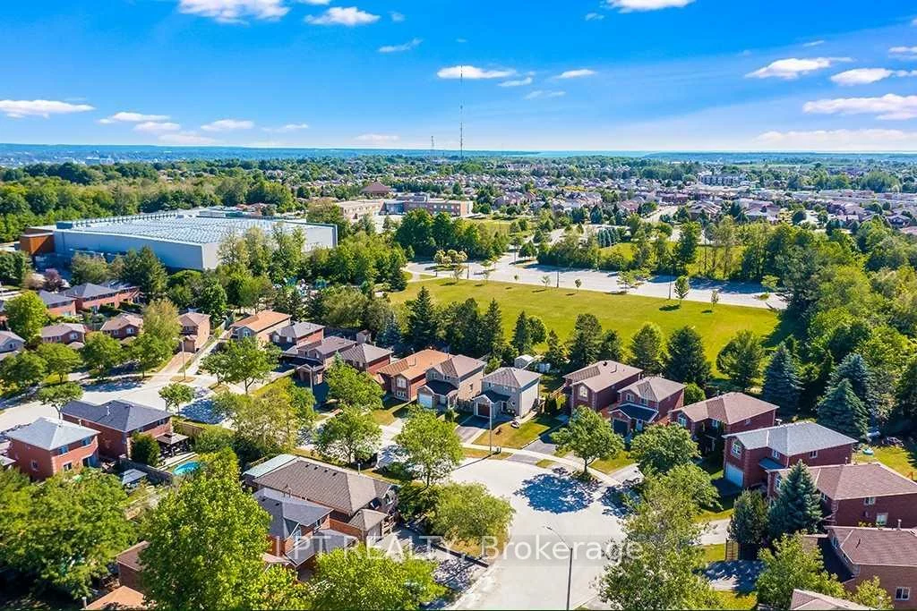 35, Clute, Holly, Barrie
