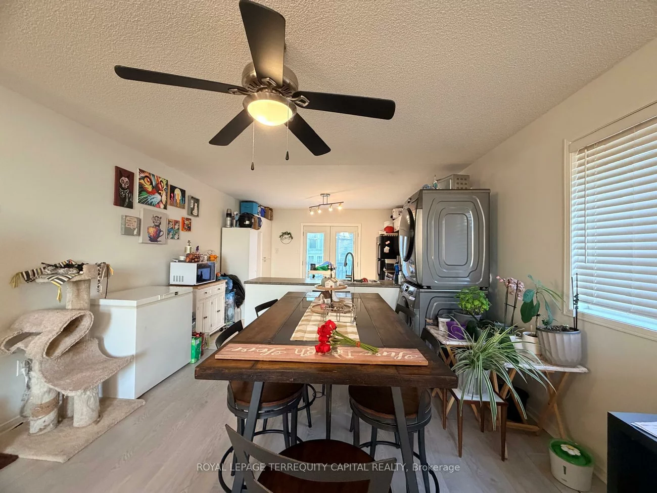 225, Country, Painswick South, Barrie