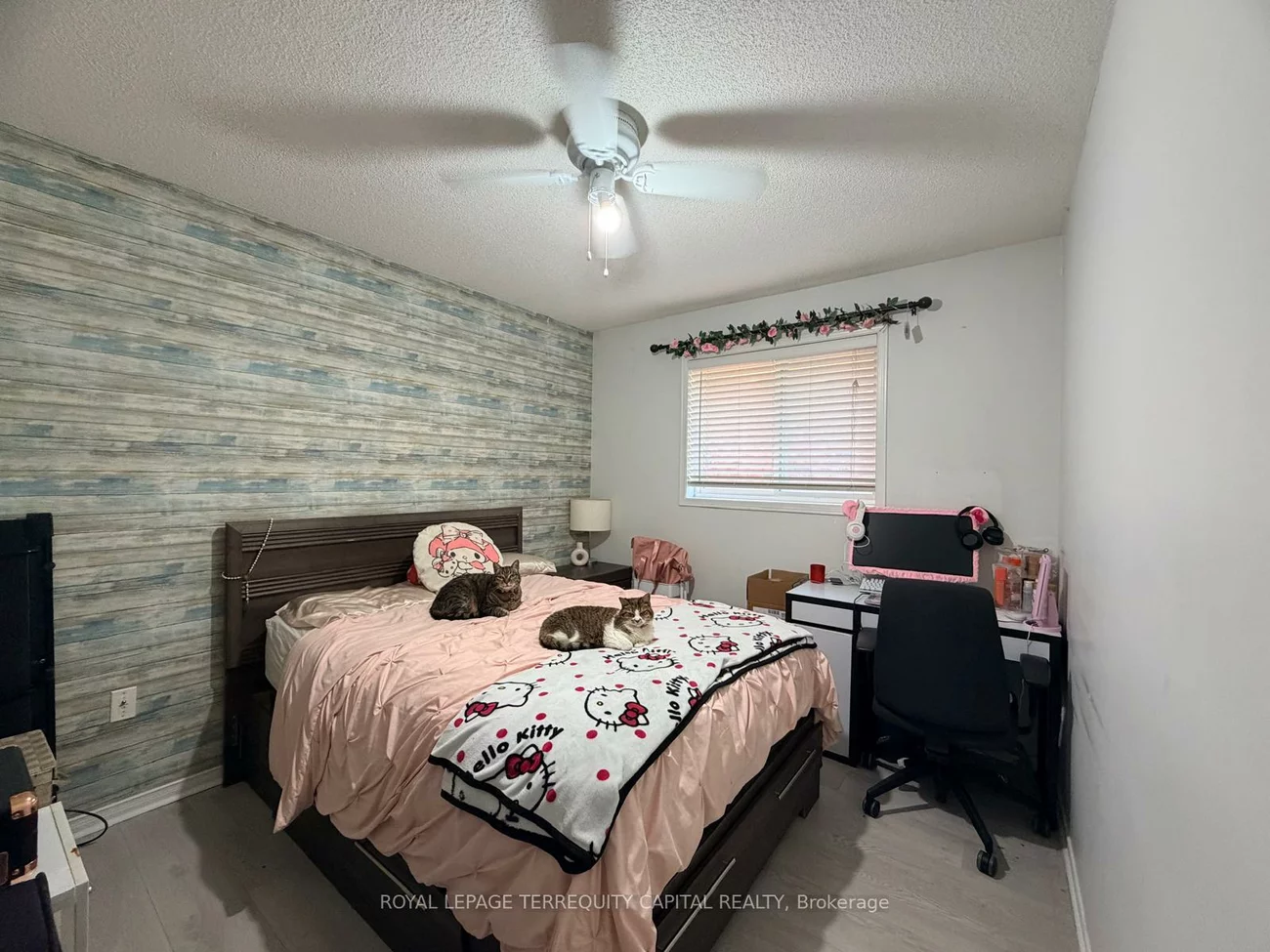 225, Country, Painswick South, Barrie
