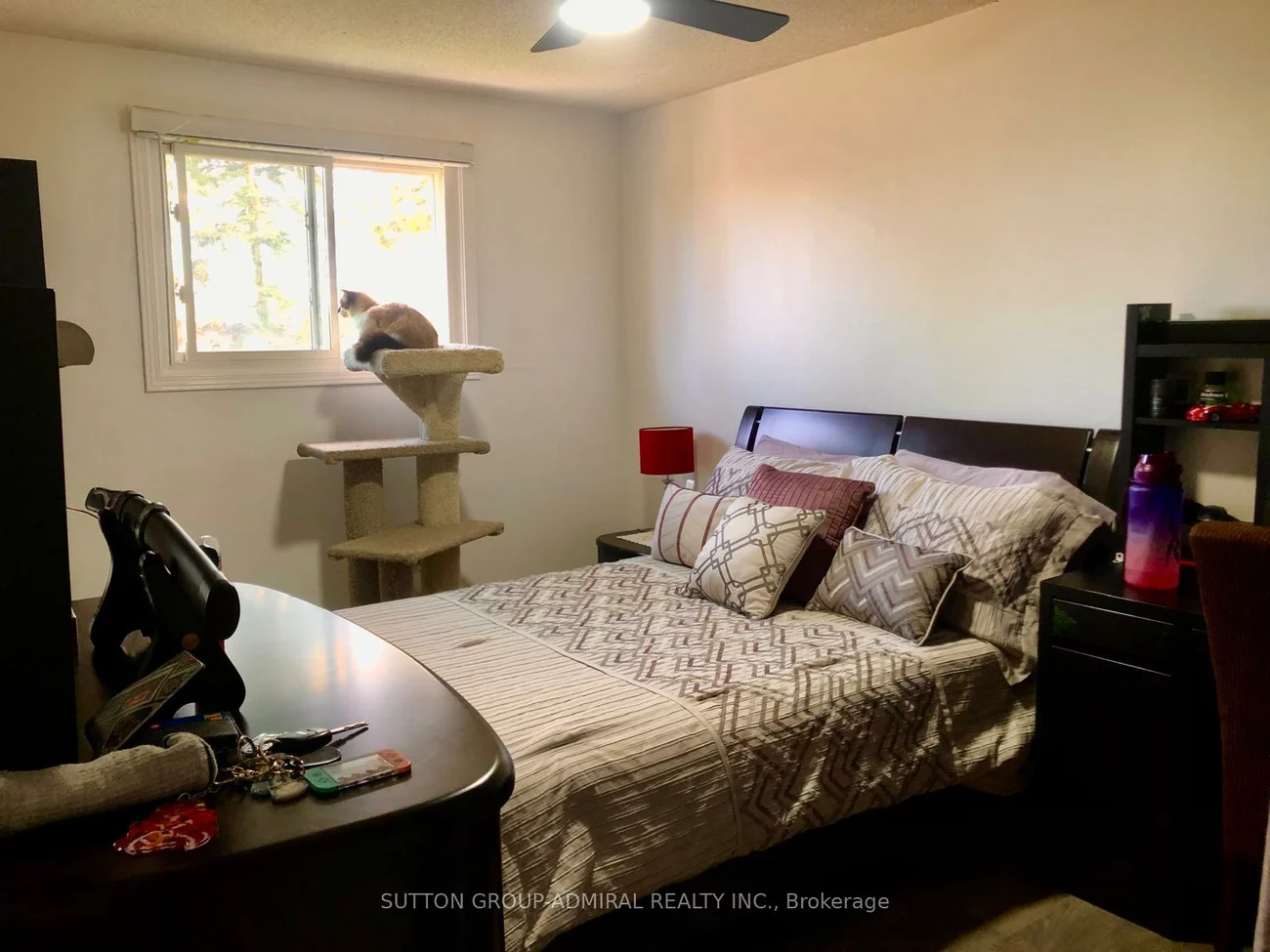 39, Corbett, Grove East, Barrie