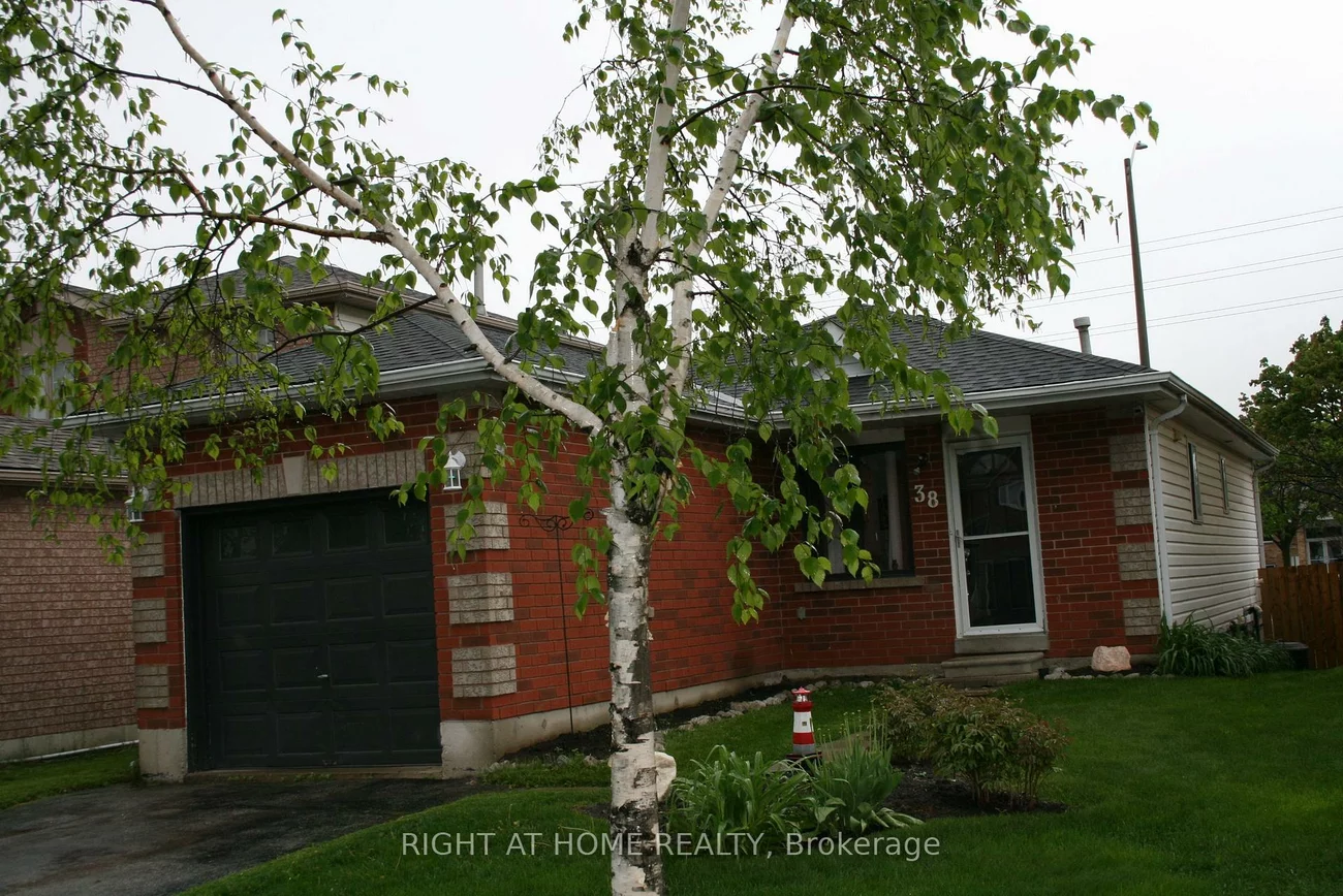 38, Garibaldi, Holly, Barrie