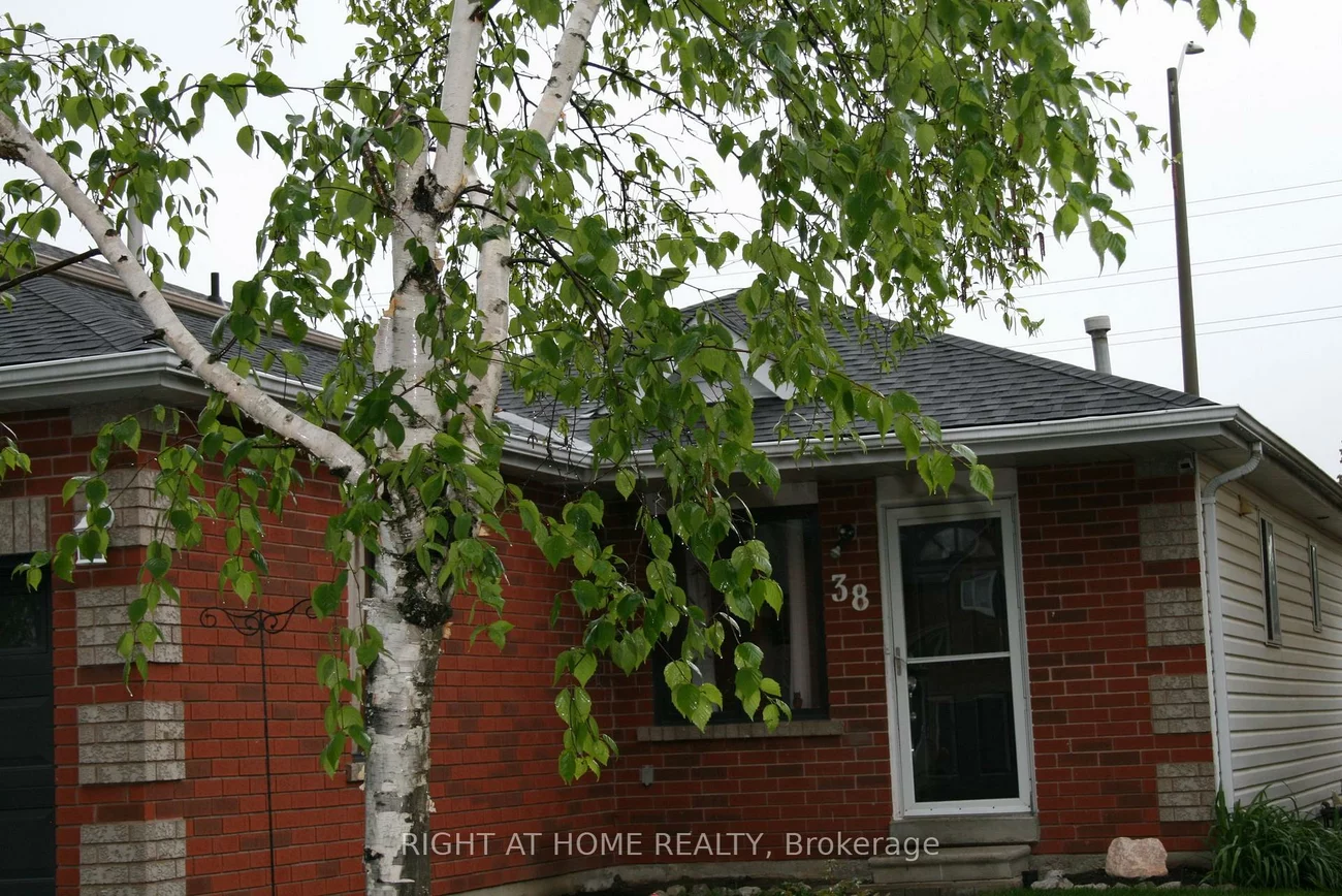 38, Garibaldi, Holly, Barrie