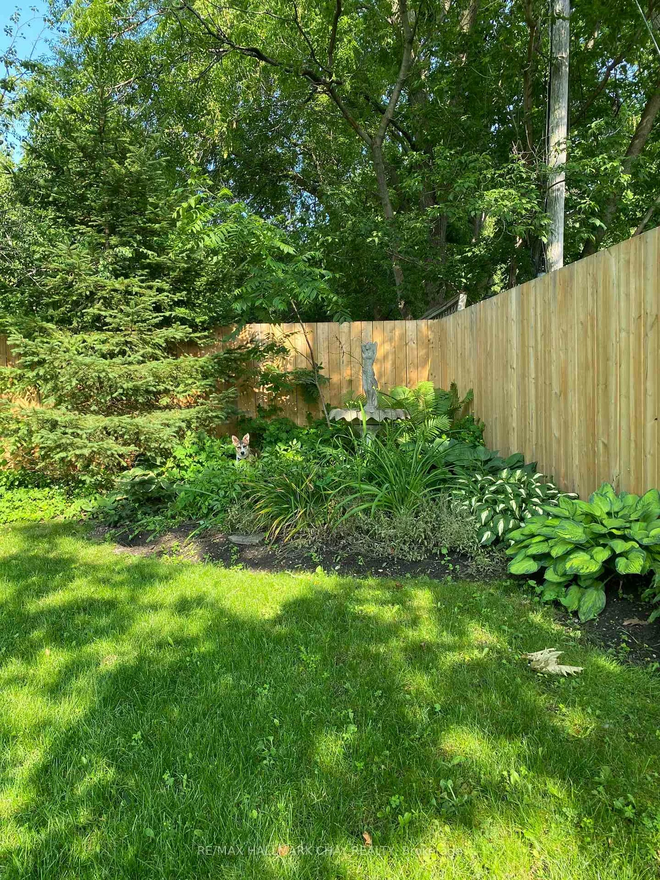25, William, Allandale, Barrie