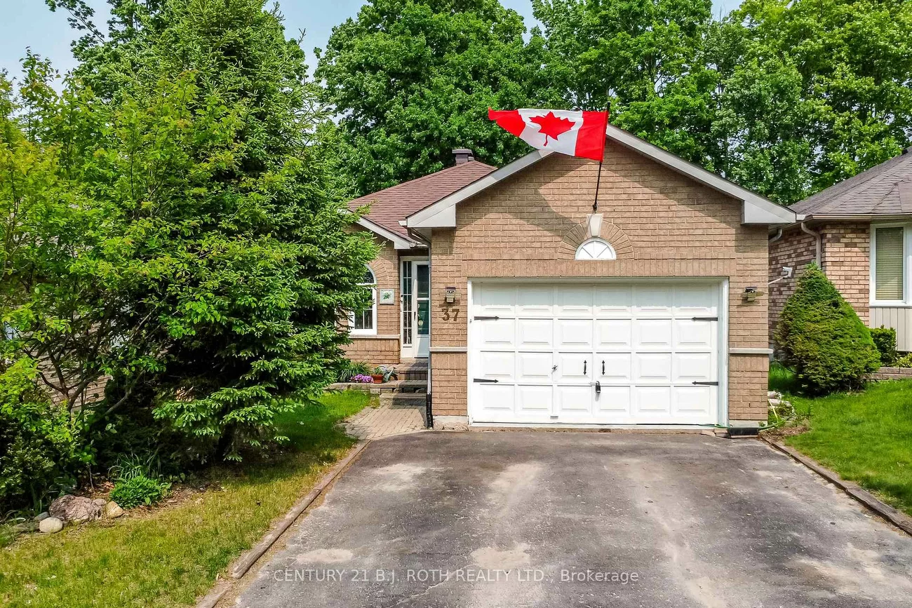 37, Nicholson, Ardagh, Barrie