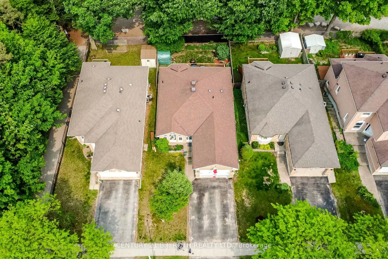 37, Nicholson, Ardagh, Barrie
