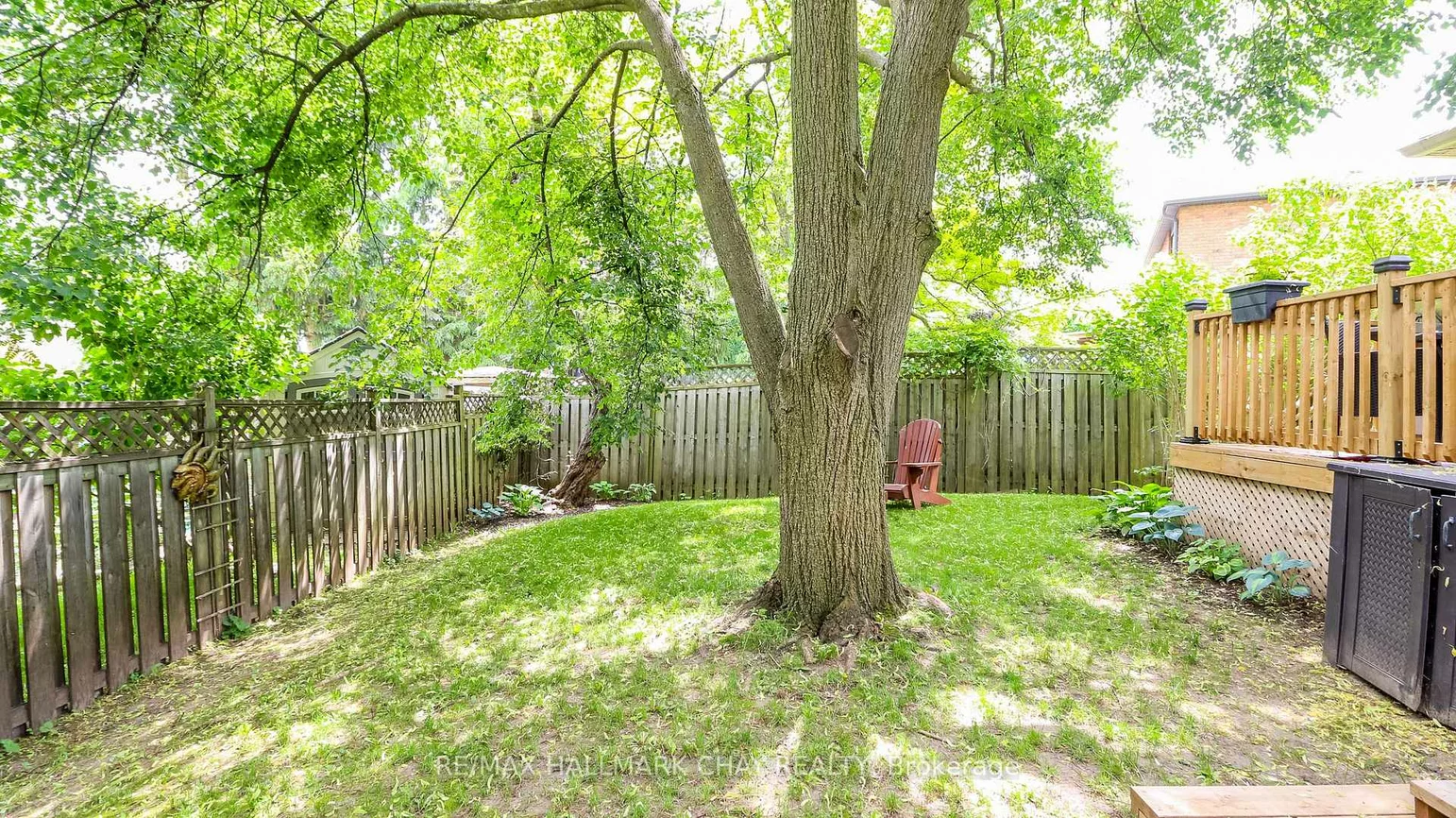 14, Autumn, Allandale Heights, Barrie