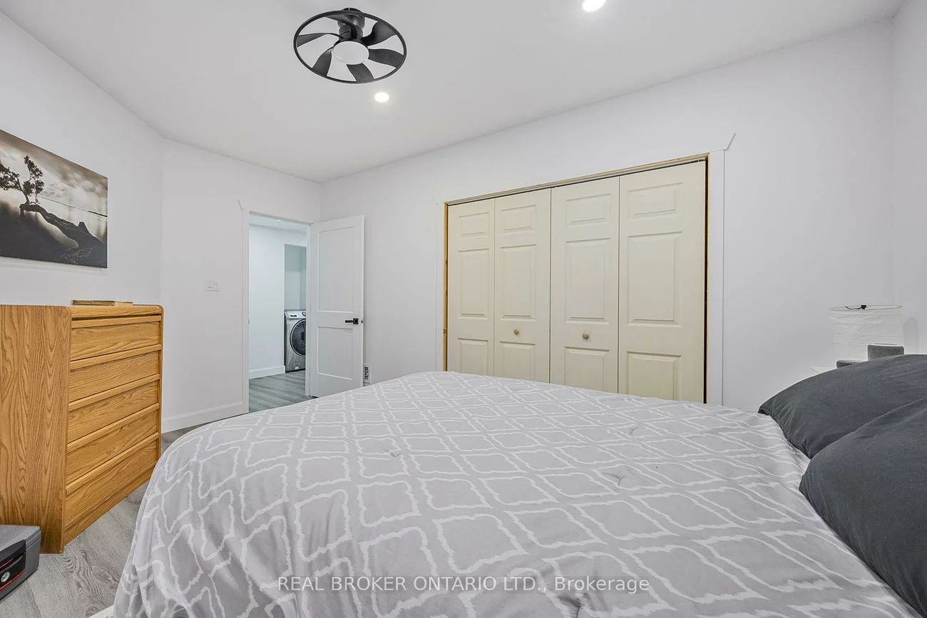 32, BLACK WILLOW, Holly, Barrie