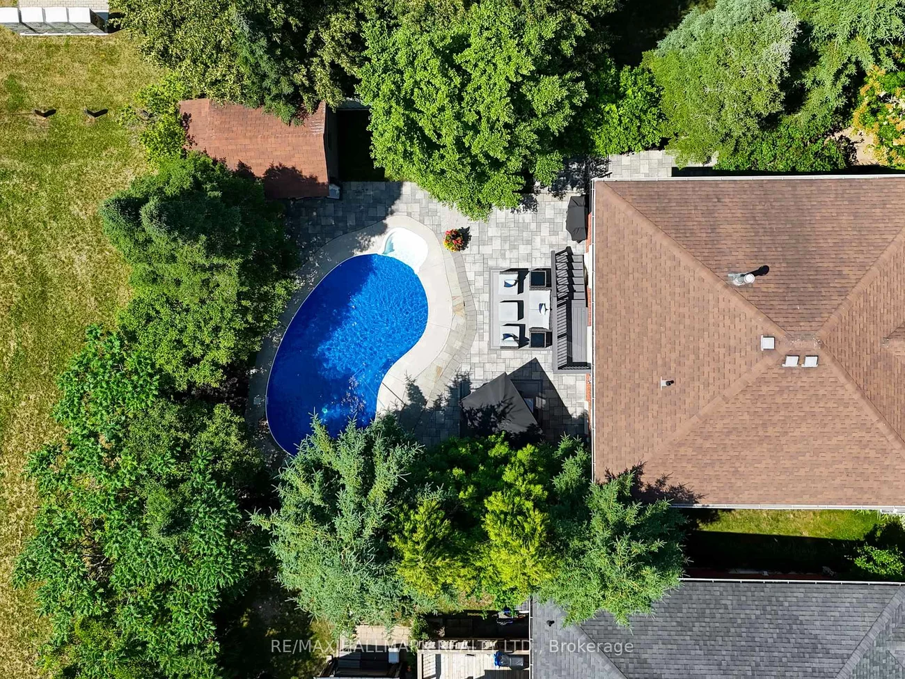 50, Black Willow, Holly, Barrie