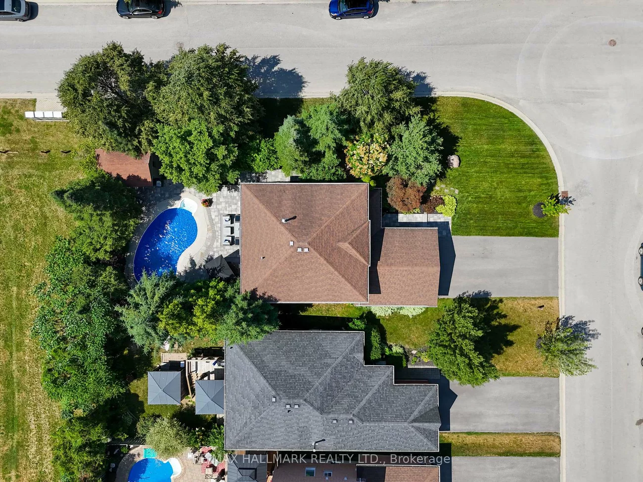 50, Black Willow, Holly, Barrie