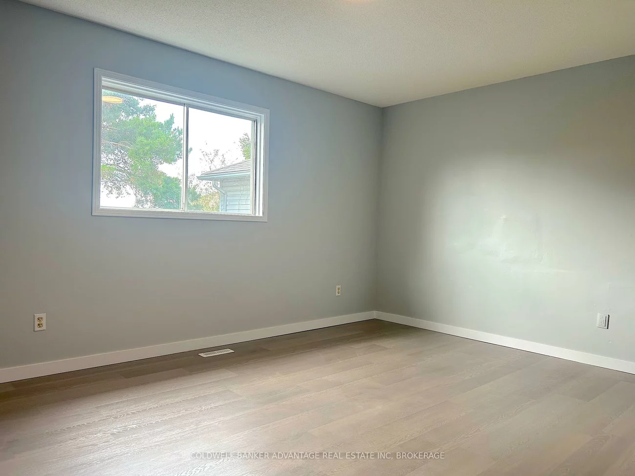 16, Cunningham, Ardagh, Barrie