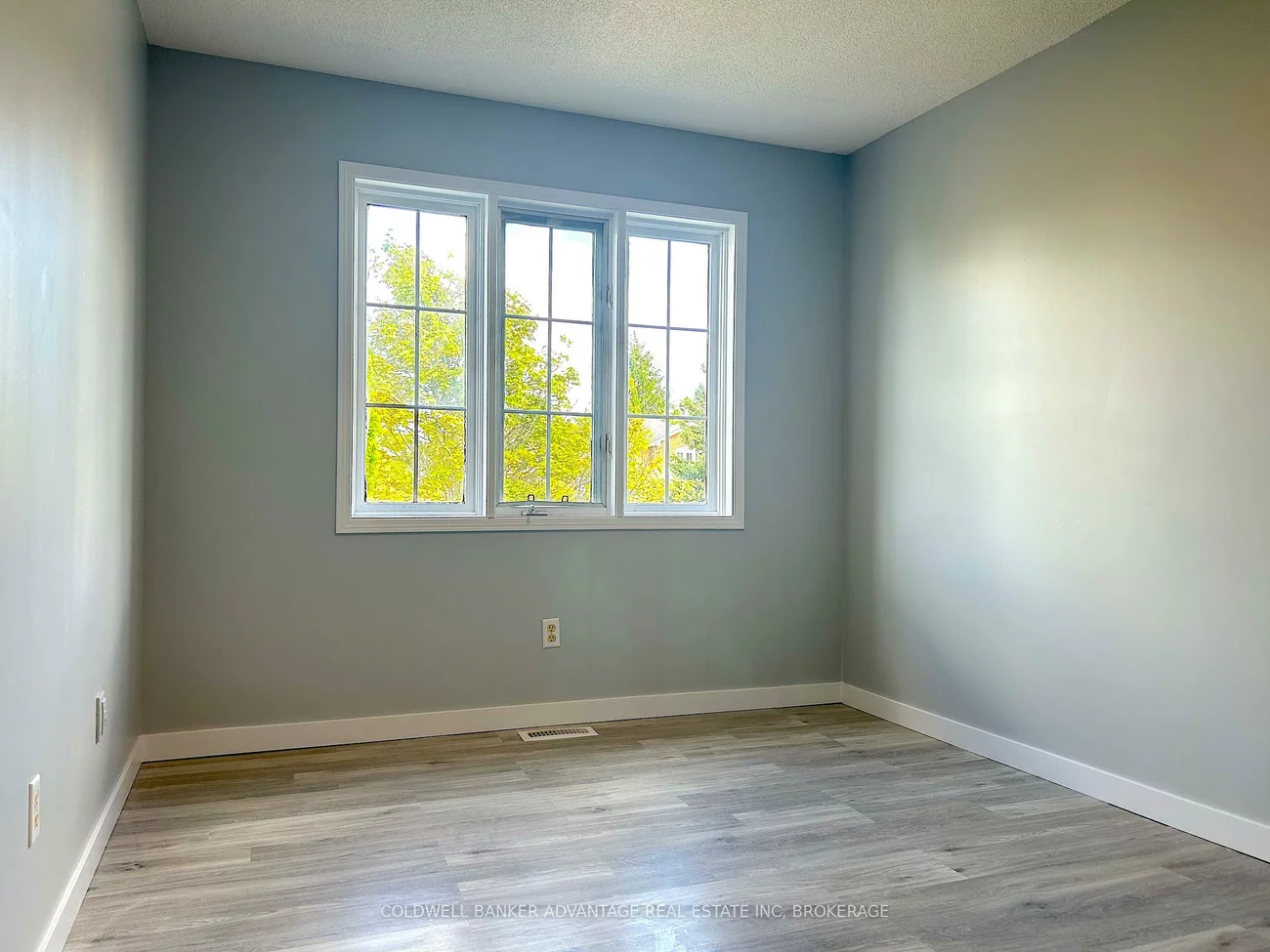 16, Cunningham, Ardagh, Barrie