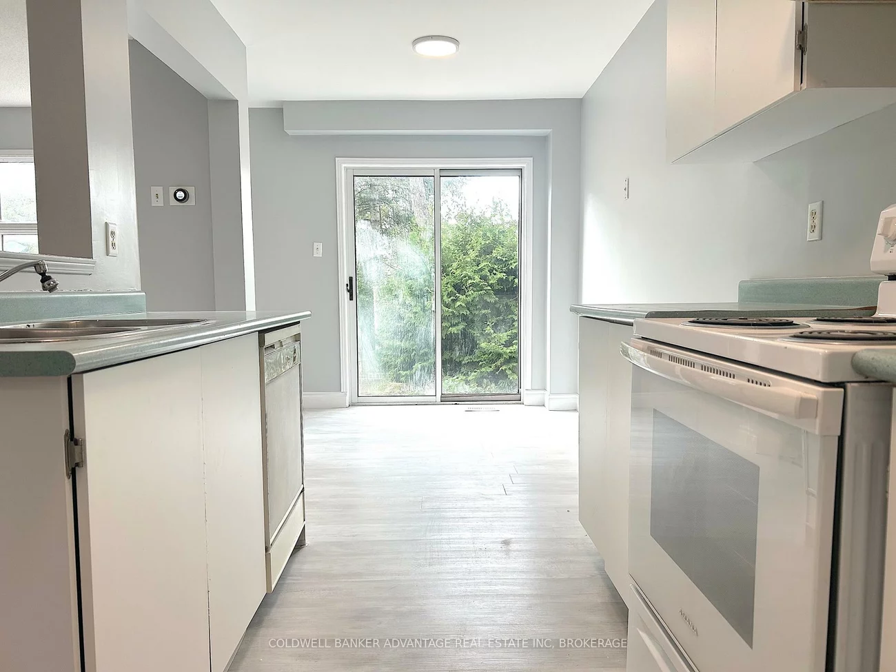 16, Cunningham, Ardagh, Barrie