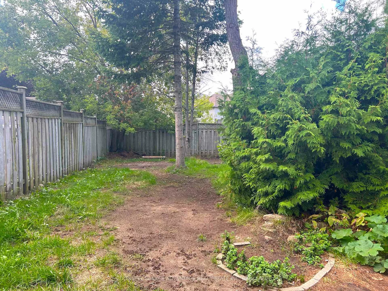 16, Cunningham, Ardagh, Barrie