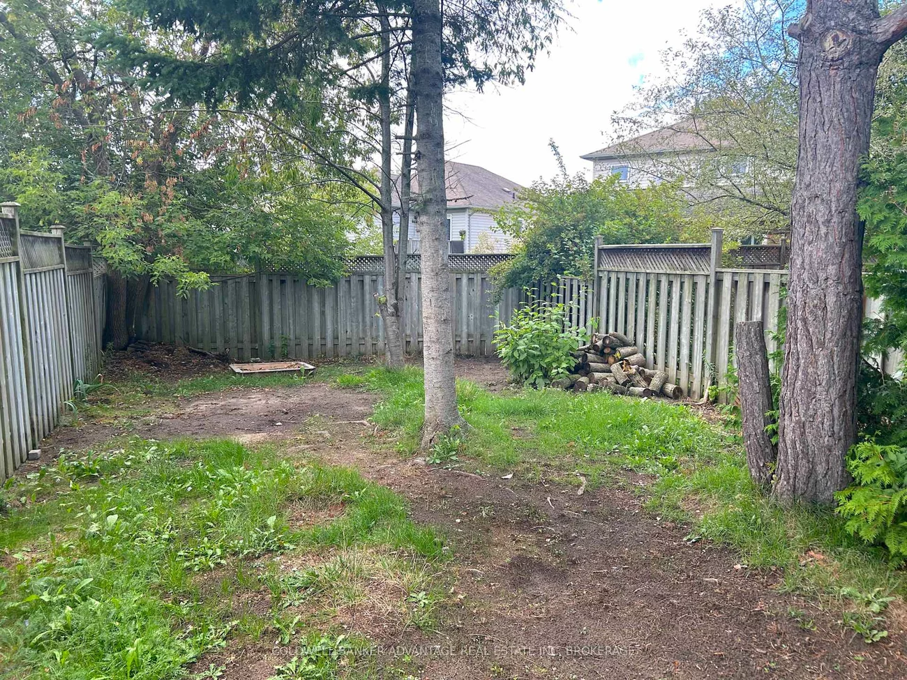 16, Cunningham, Ardagh, Barrie