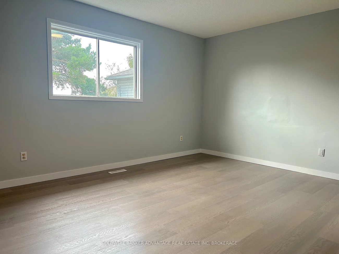 16, Cunningham, Ardagh, Barrie