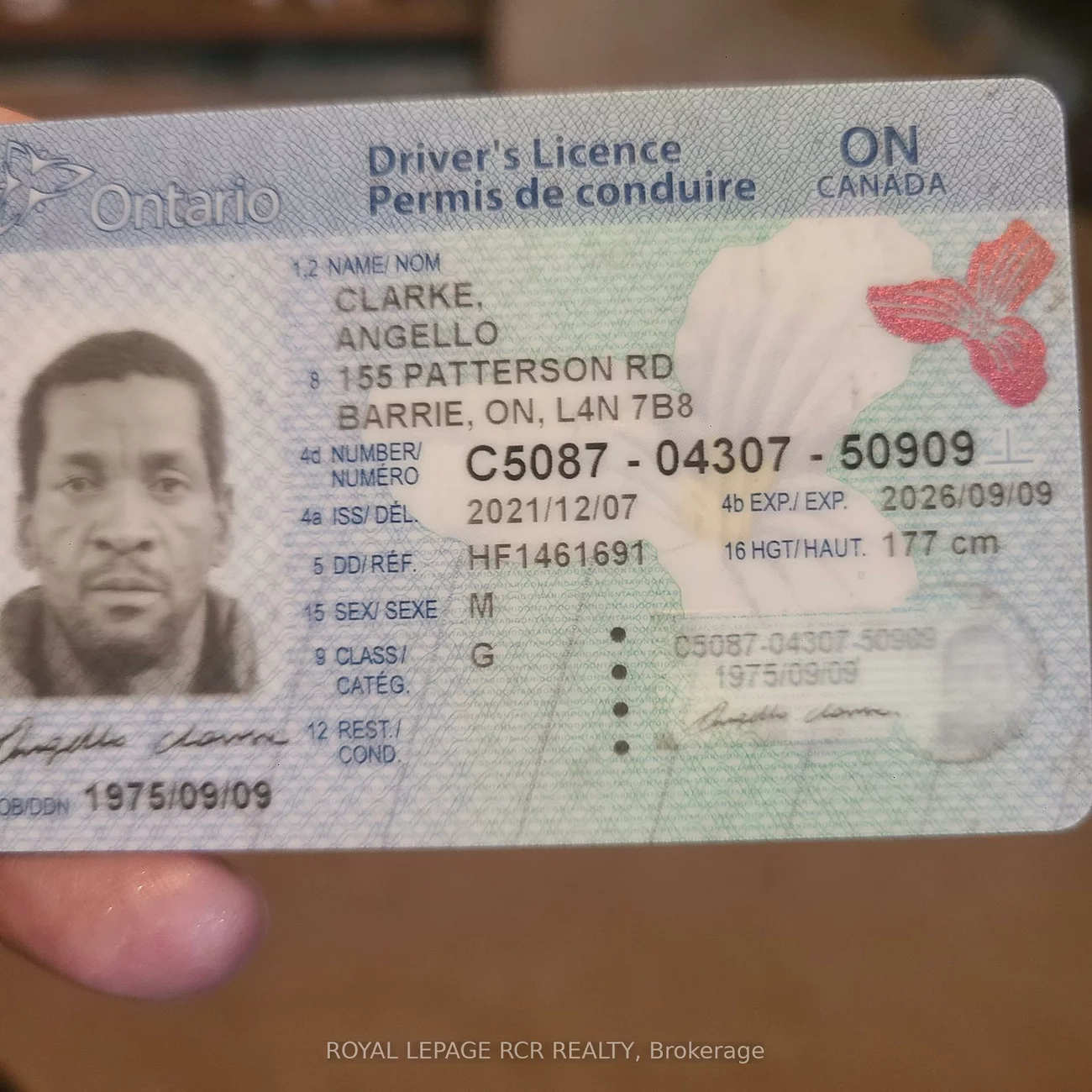 155, Patterson, Ardagh, Barrie