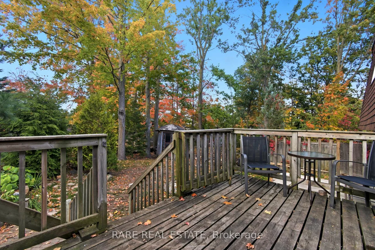 66, Springdale, Alliance, Barrie