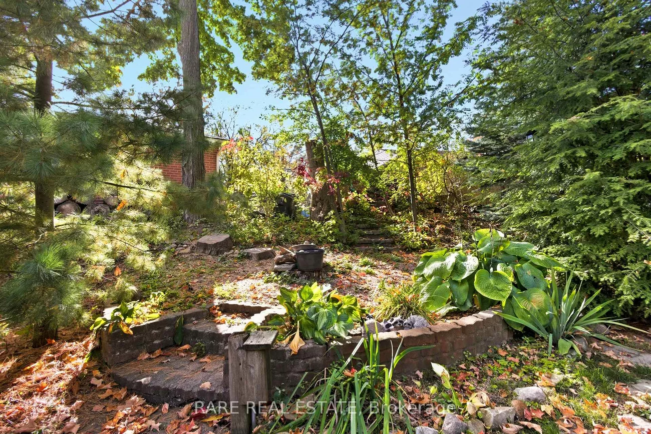 66, Springdale, Alliance, Barrie