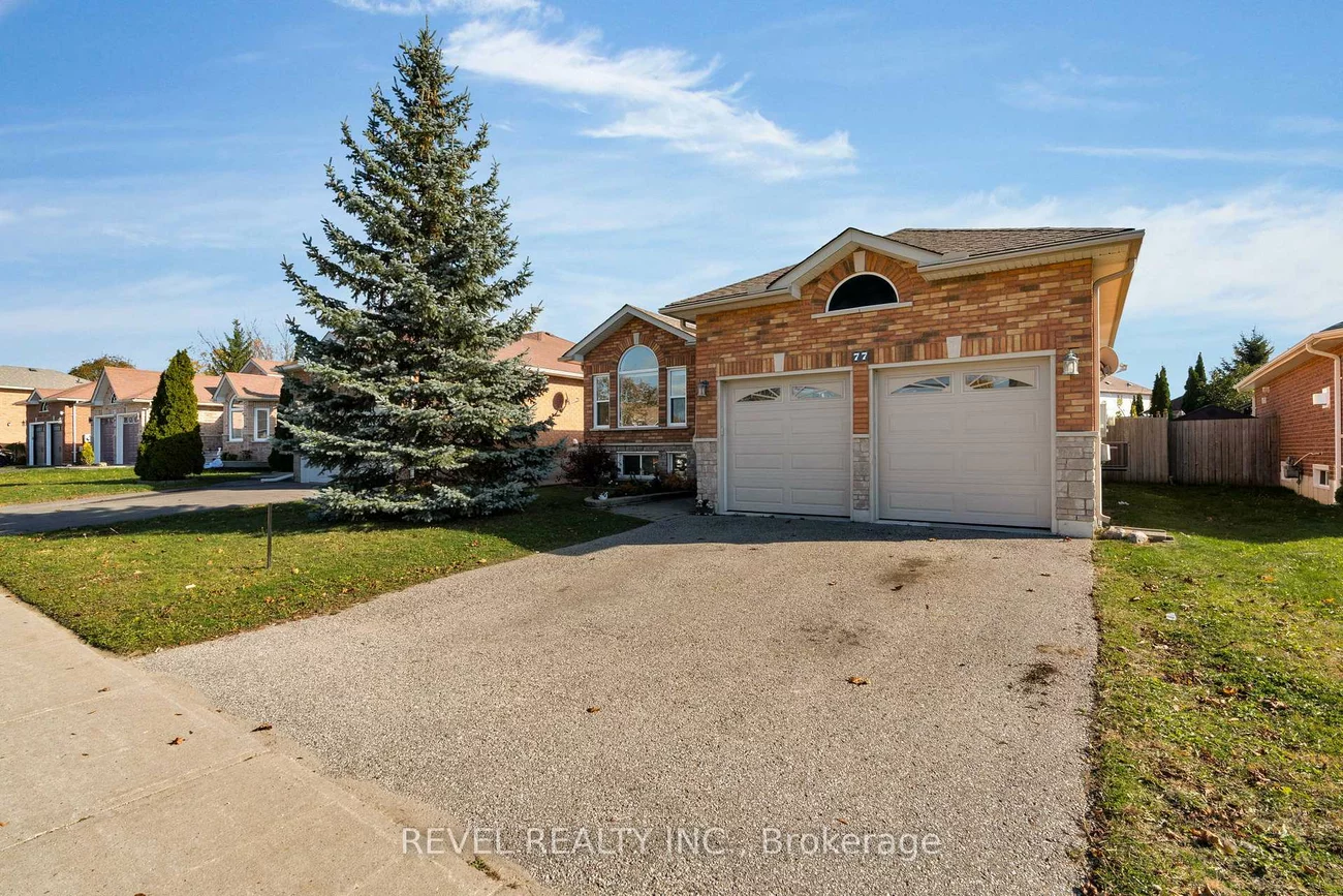 77, Marsellus, Holly, Barrie